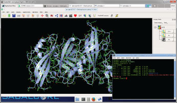 Remote desktop for Life Sciences and R for Linux